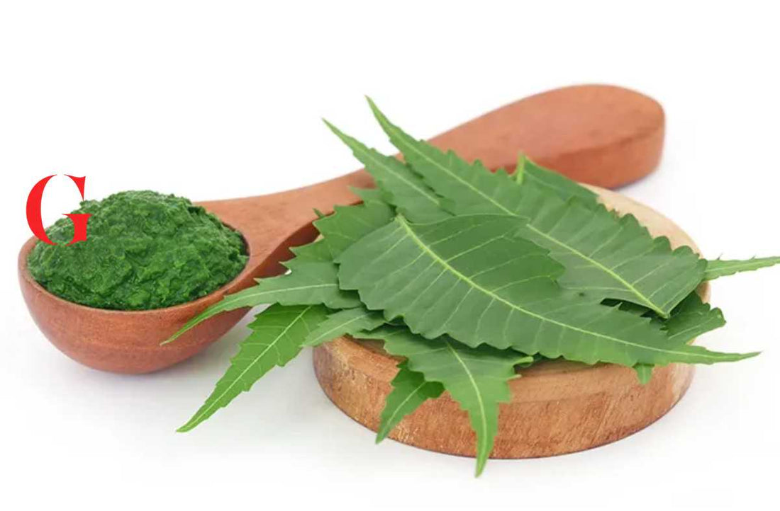 Mengenal Neem: Herba Alami untuk Skincare dan Khasiatnya!