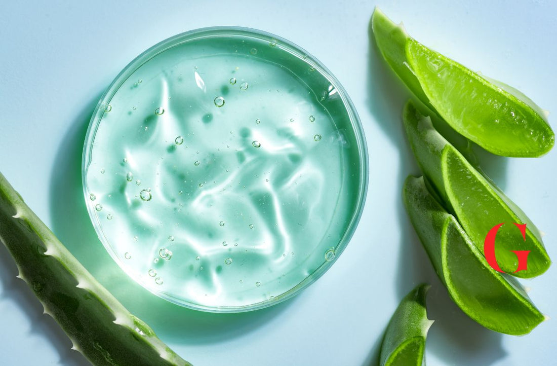 7 Manfaat Aloe Vera dan Lidah Buaya untuk Kesehatan Rambut