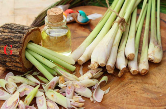 10 Manfaat Serai untuk Kesehatan dan Efek Sampingnya Bagi Tubuh!